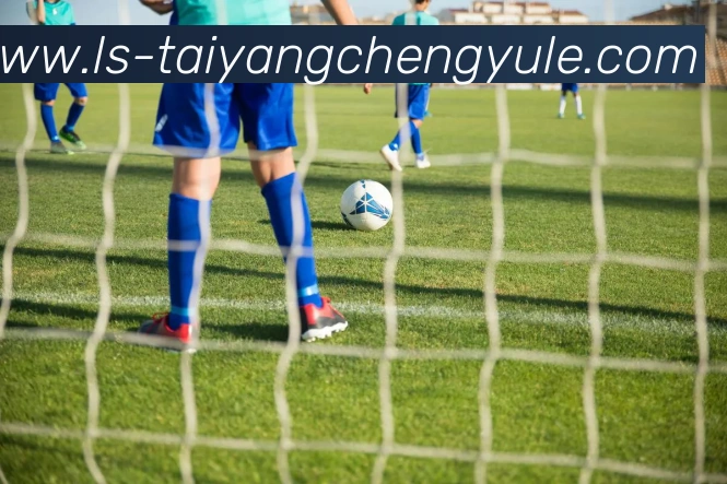 太阳城网站APP 体育赛事宣传图